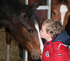 Kind en paard