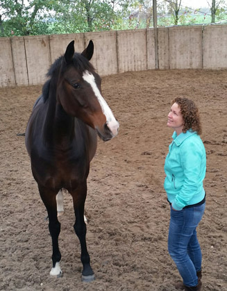 Paardencoaching voor volwassenen